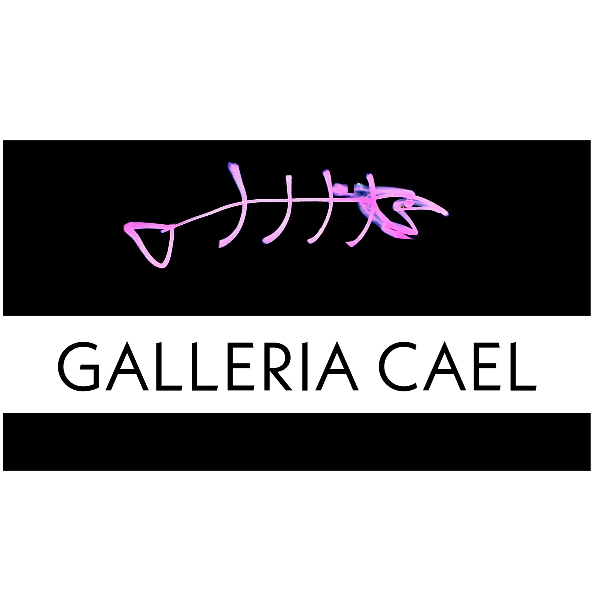 GALLERIA CAEL